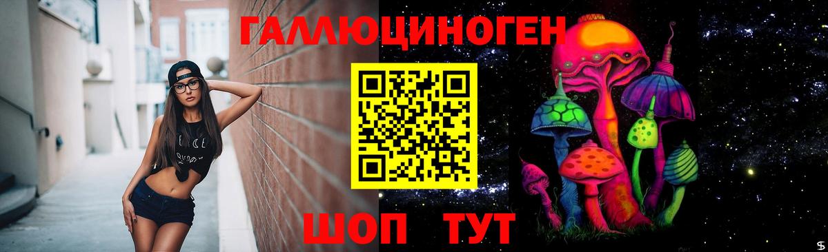 Галлюциногенные грибы Psilocybe  Вход с VPN  Мытищи  Галлюциногенные грибы прущие грибы 